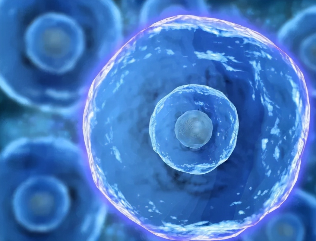 干细胞注射能治愈哪些疾病,干细胞技术有效吗