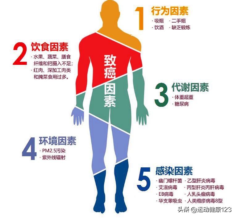 预防恶性肿瘤，从避免或减少细胞恶变的致癌因素着手