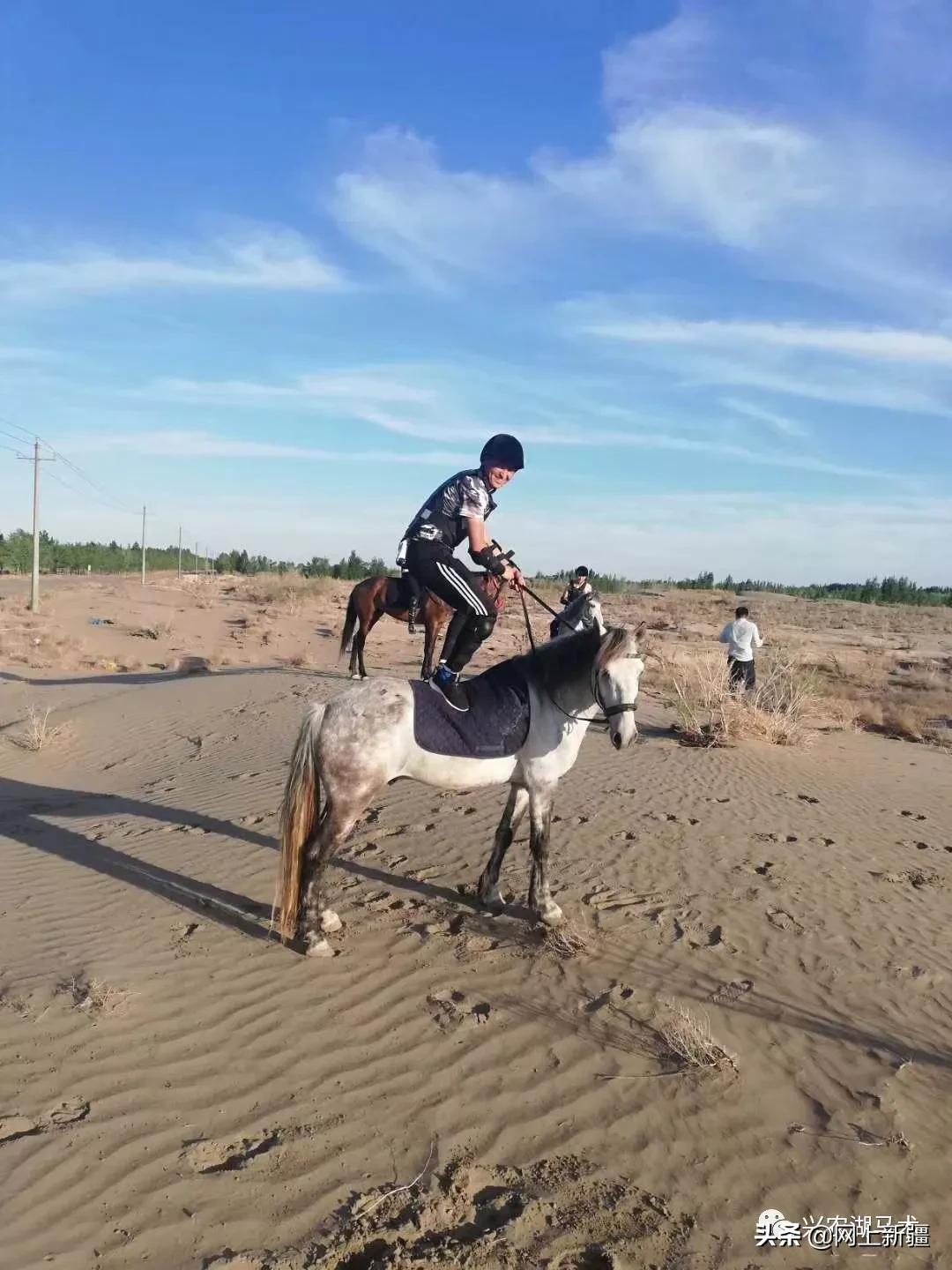 新疆那边的马是什么品种,如何挑选新疆马