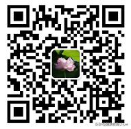 失眠夜惊多梦吃什么药调理,失眠经常按哪些穴位