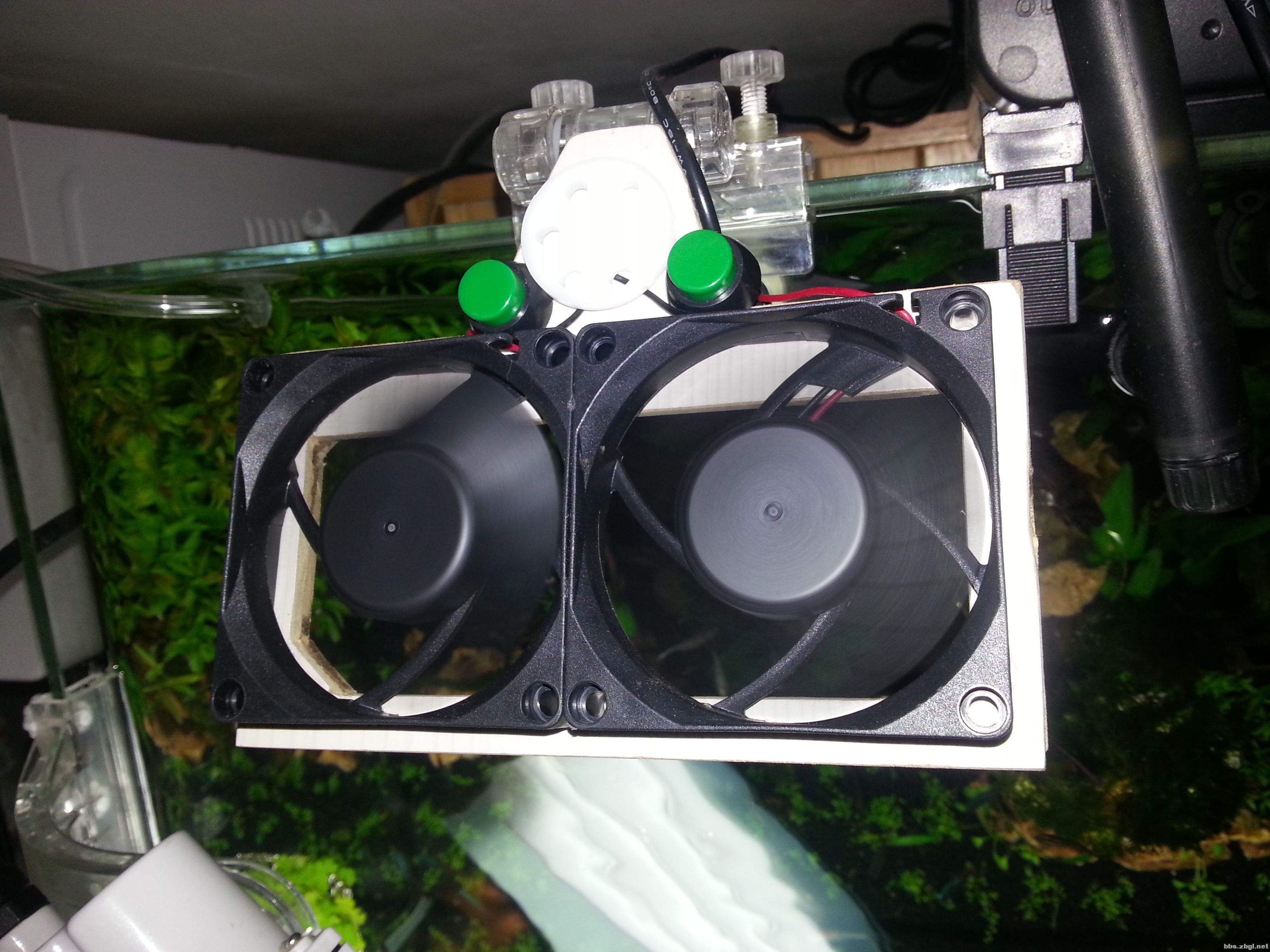 草缸加热棒温度应该调到多少,草缸温度高草长得快