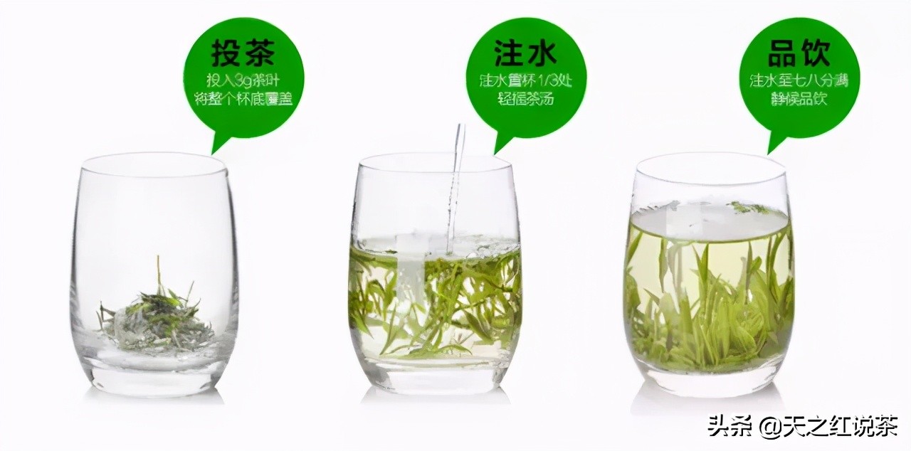 喝春茶的人生感悟,喝春茶的意境诗句