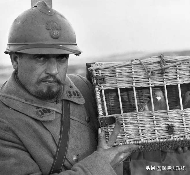 鑻忚仈鏃╂湡鍗曞叺瑁呭,鑻忚仈澹叺甯歌瑁呭