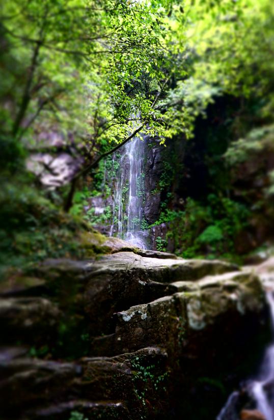 多特福特拉32升背包测评,多特26l背包