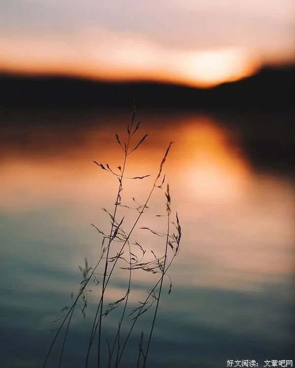 适合发朋友圈的45句人间绝句,人间绝句令人惊艳的诗句是什么