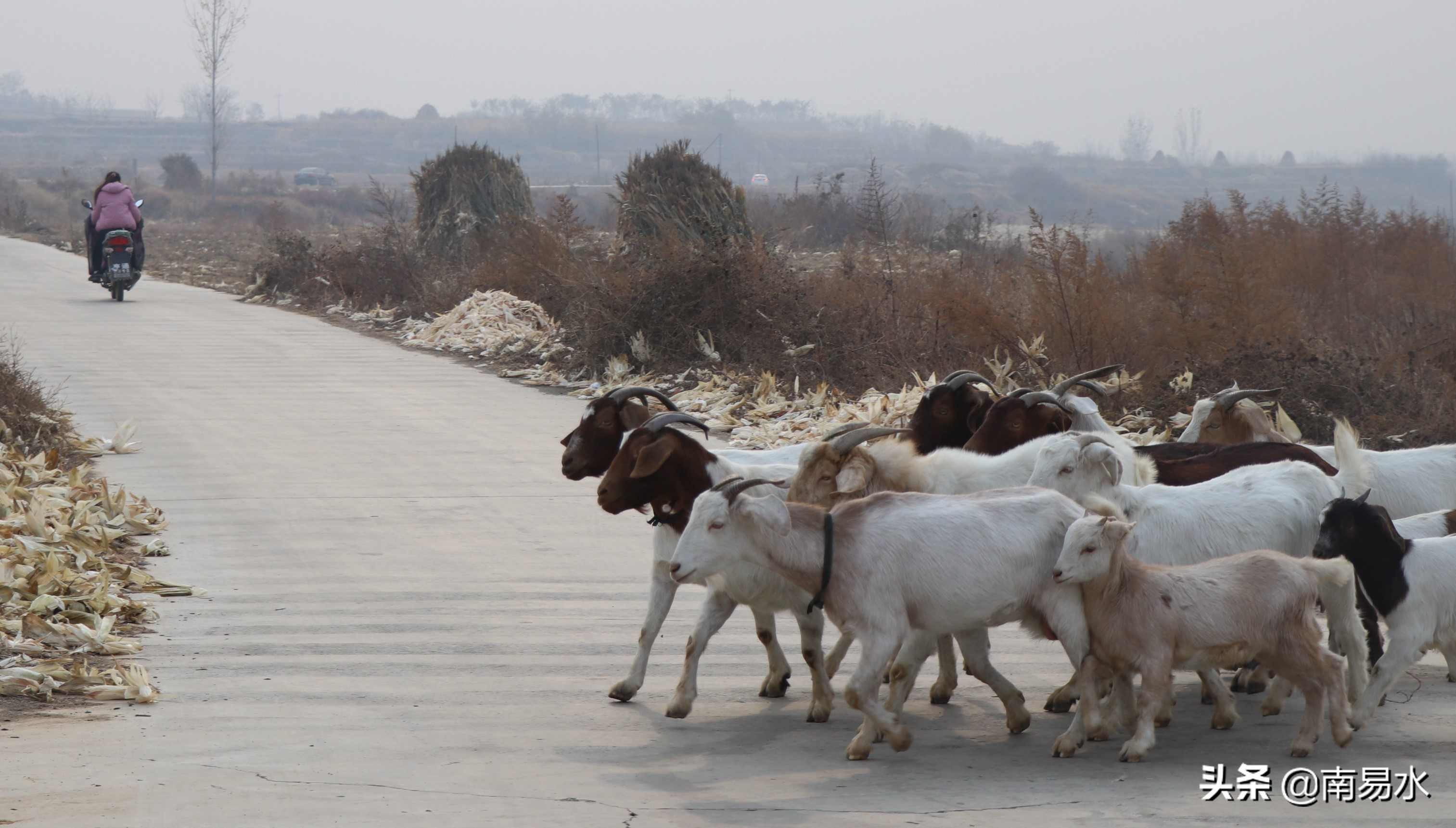 家乡风景带你一起感受自然的味道,令你难以忘怀的家乡的味道