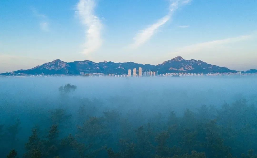 种草一个被遗忘的小岛，背山靠海，拥有山东最美的“童话屋”，美到窒息！