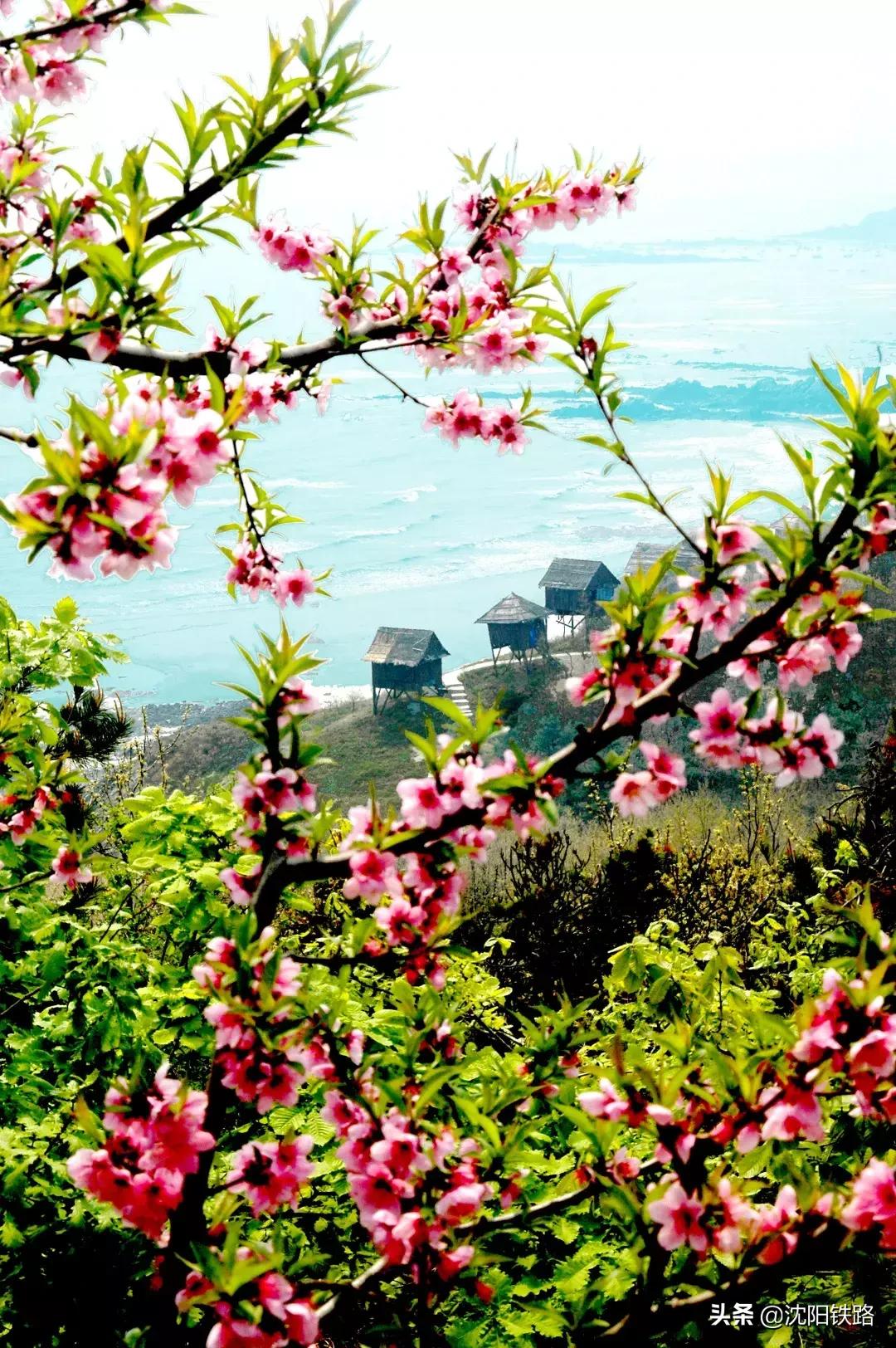 关注！大连站、大连北站增开3对旅客列车，文末有彩蛋！