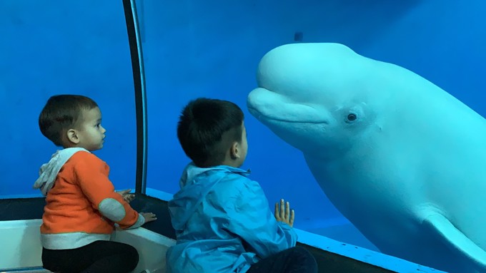 台湾环岛8日自由行详细攻略,台湾环岛游自由行攻略大全