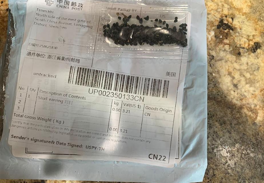 中国神秘种子让美民众发慌，已确认含牵牛花在内14类种子，均无害