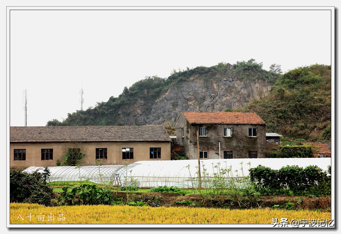 走访*片鸦**战争大宝山战役所在地——妙湾古村(宁波慈城)