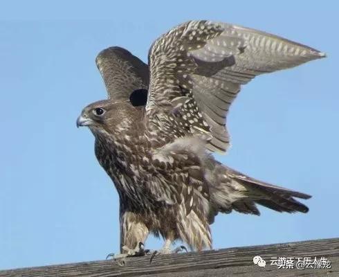 小城故事多农村生活,小城故事多简介