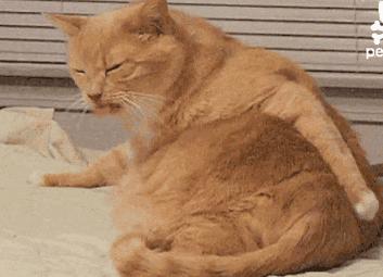 孕期长痘皮肤救星可以用吗,孕期皮肤泛红长痘用什么都没用