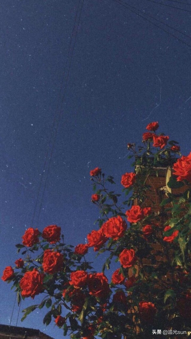 女生的第一次到底重不重要?