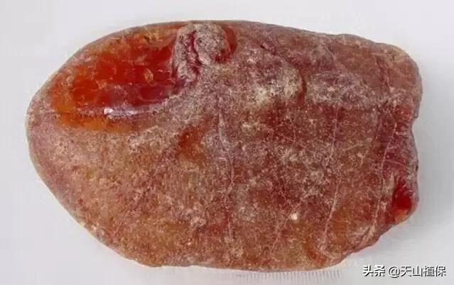 怎么捡到价值极高的石头,捡到一块石头价值千万