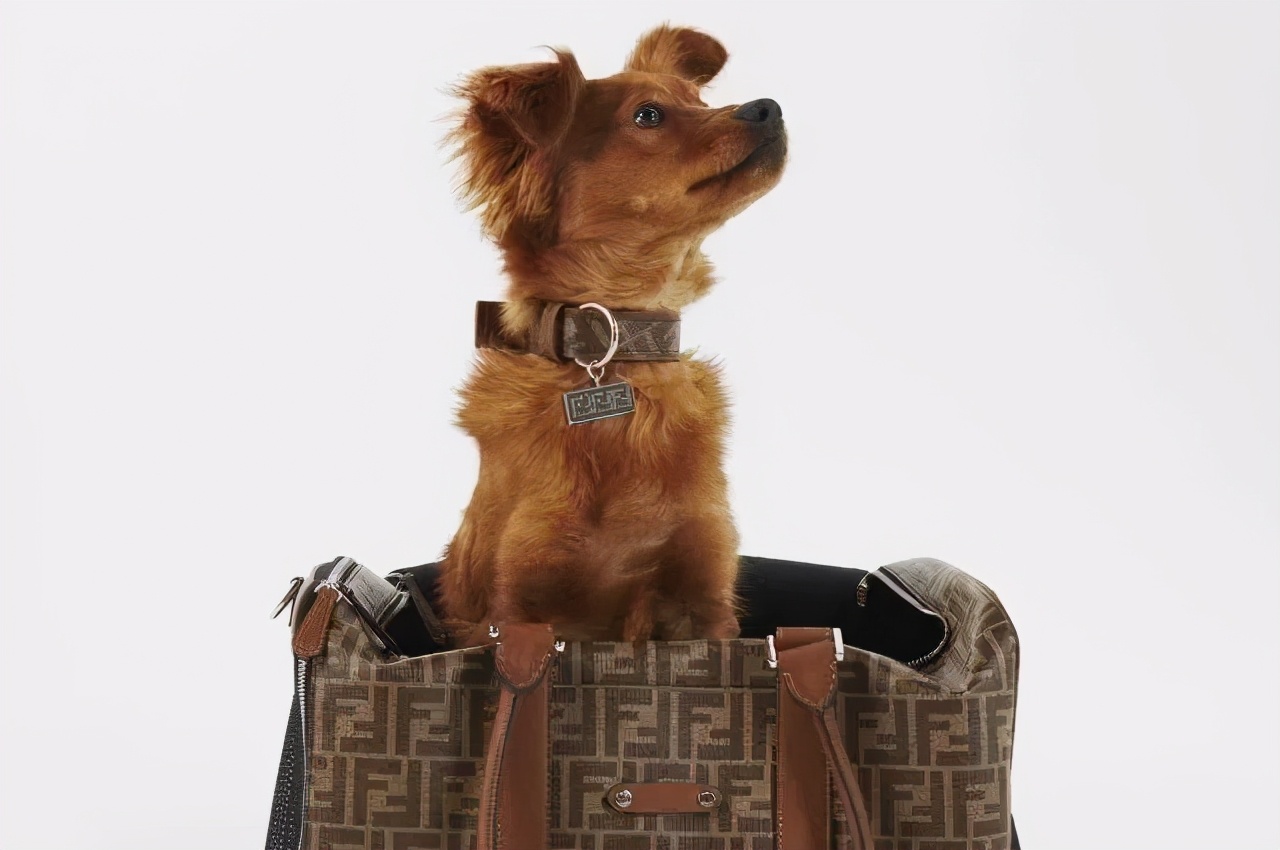 lvmh与gucci,中国设计师lv大秀