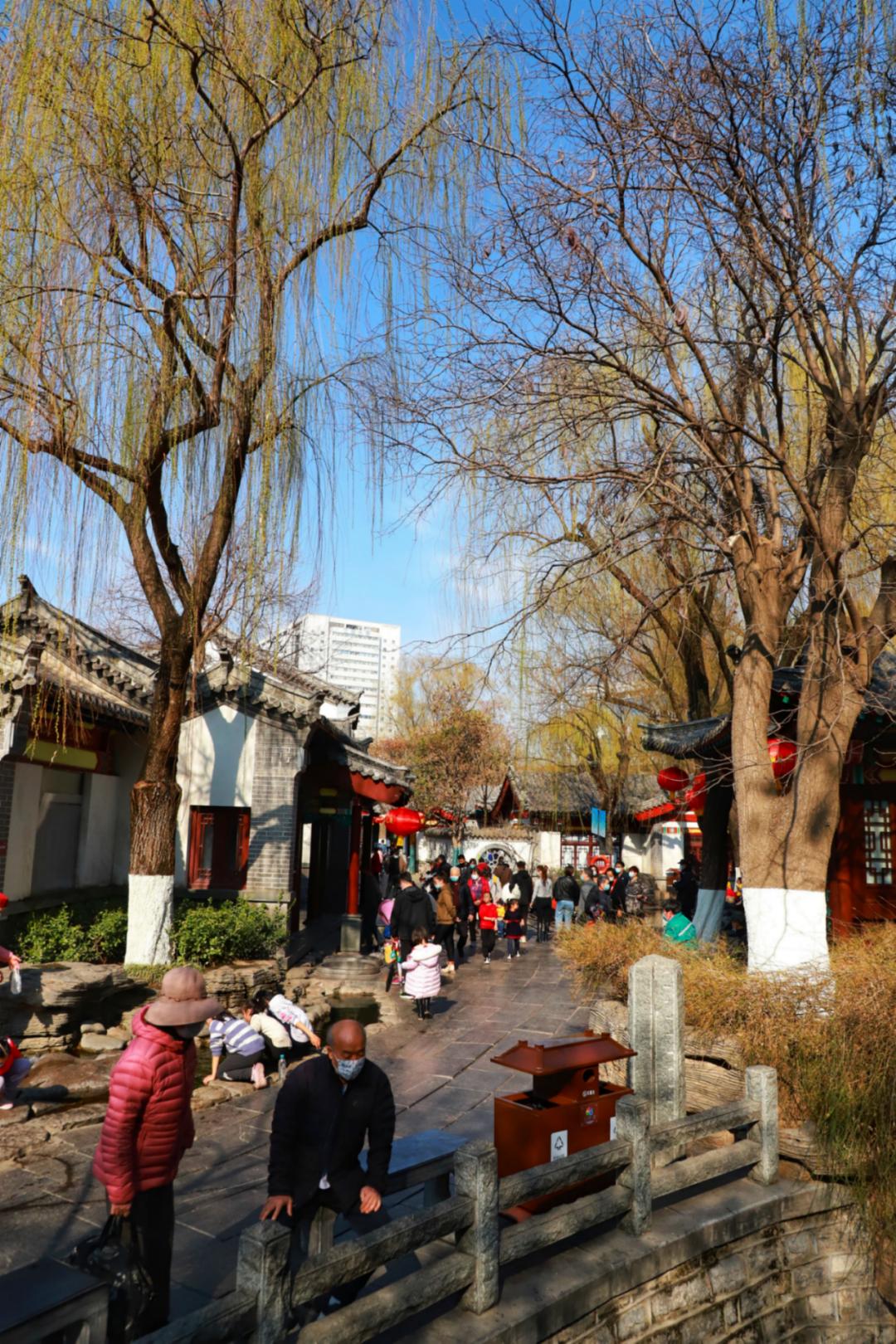 春天里最美的花儿，语文课本上的天下第一……一定要带孩子来