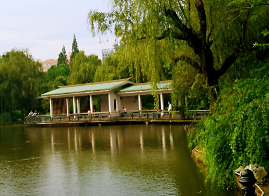 雨天的虹口公园,魔都虹口公园
