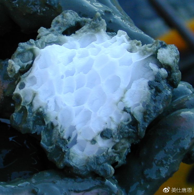 百慕大魔鬼三角地址,百慕大为什么称为魔鬼三角