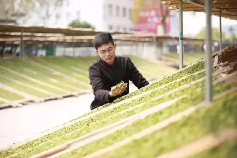 2016两岸斗茶茶王争霸赛,2021两岸茶王赛