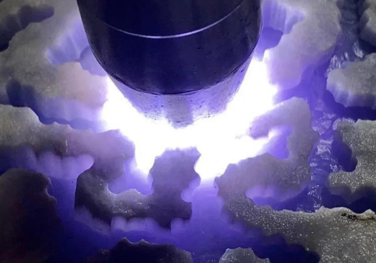 紫罗兰怎么辨别真伪,紫罗兰辨别产地