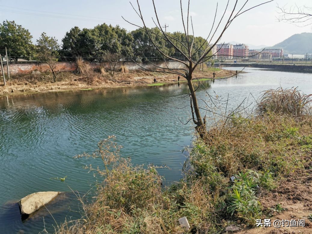 冬季钓鲫鱼是钓阴影好还是向阳好,冬季钓鱼钓顶风还是背风