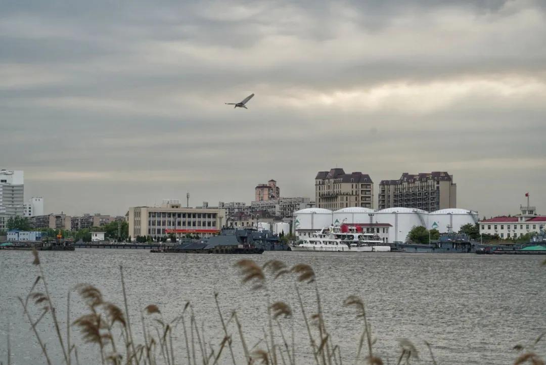 浦东24小时不打烊图书馆,浦东滨江世博文化公园