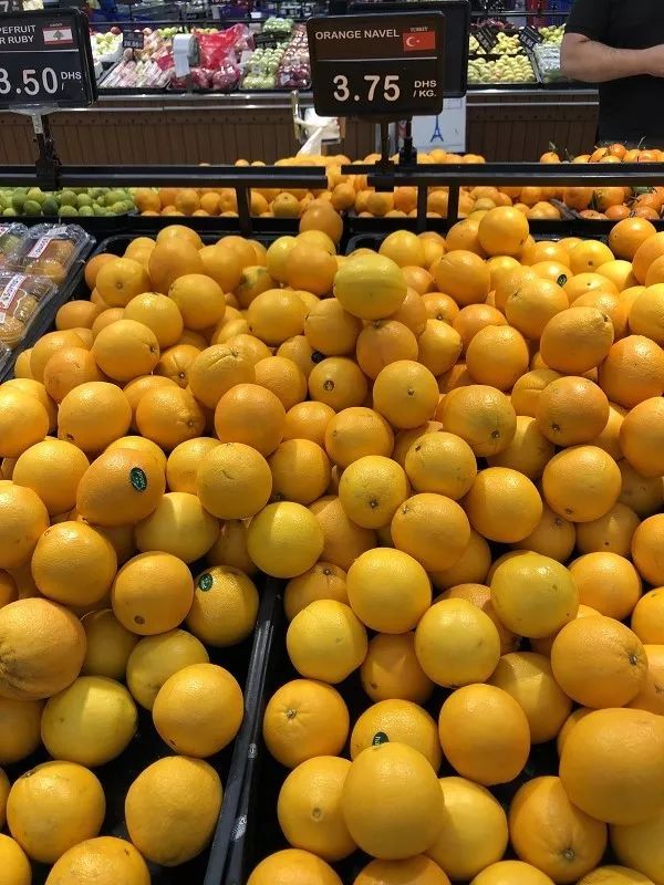 迪拜生活真实工资,在迪拜怎么降低生活成本