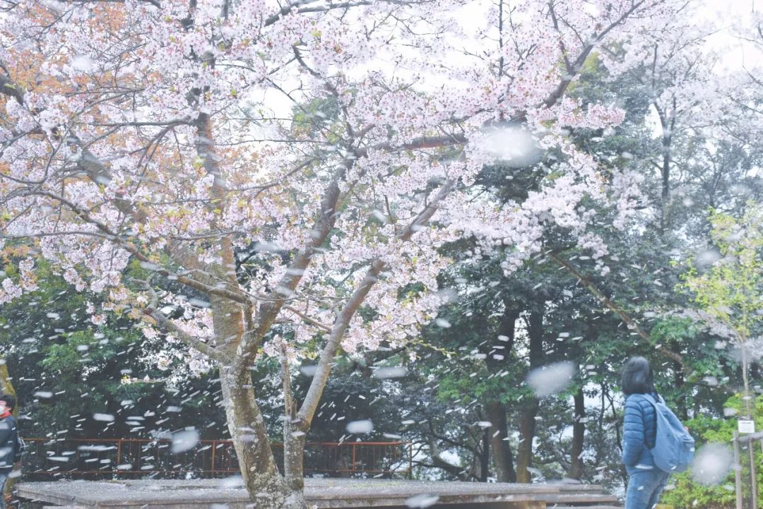 大阪攻略自由行,看惯了千篇一律的高楼大厦