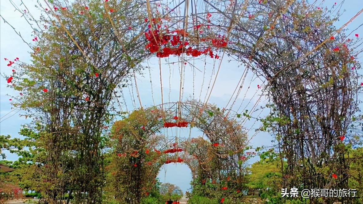海口海甸岛世纪大道,海口海甸岛晚上超好看的广场