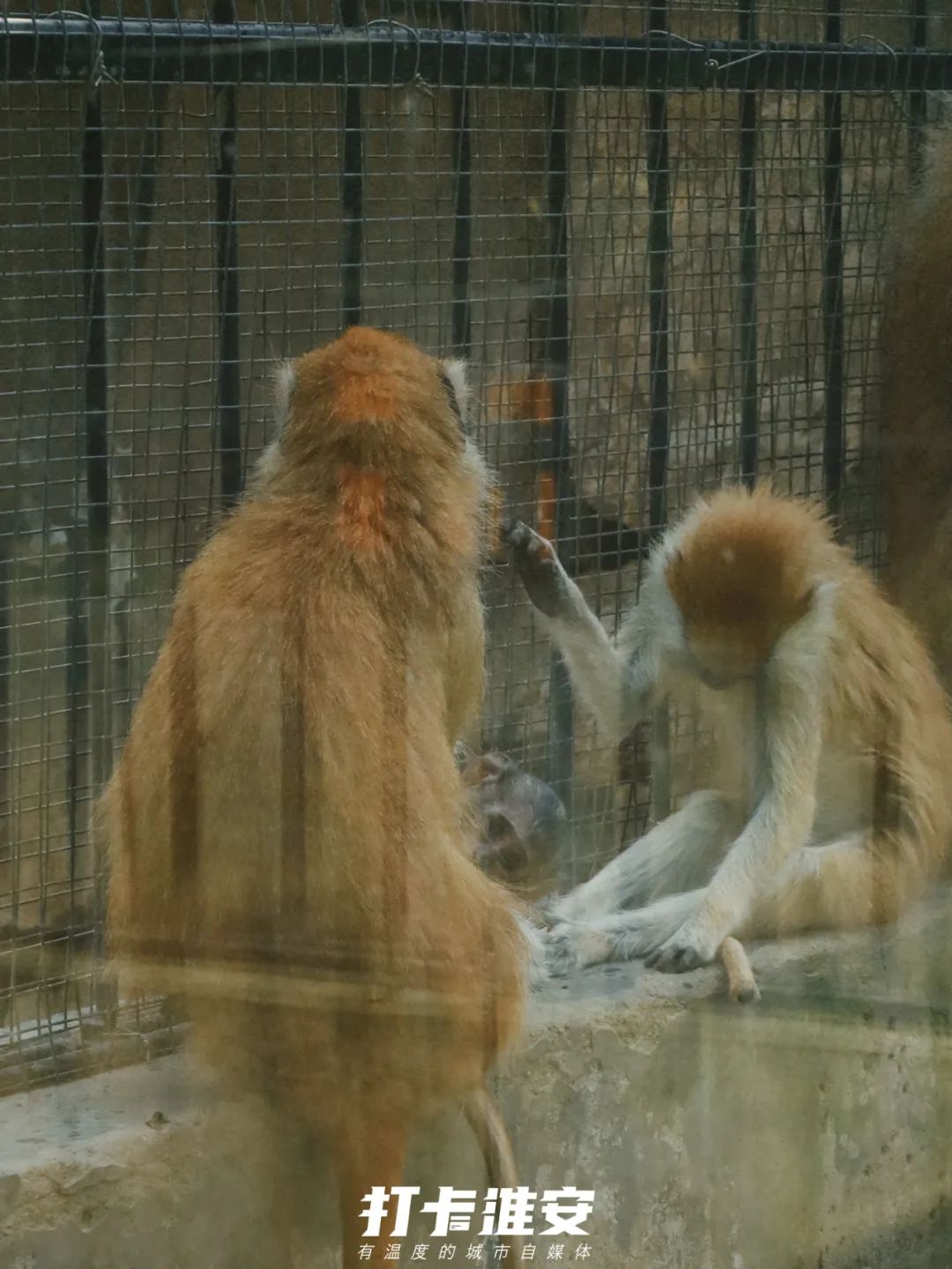 儿童节去儿童乐园,儿童节去公园玩