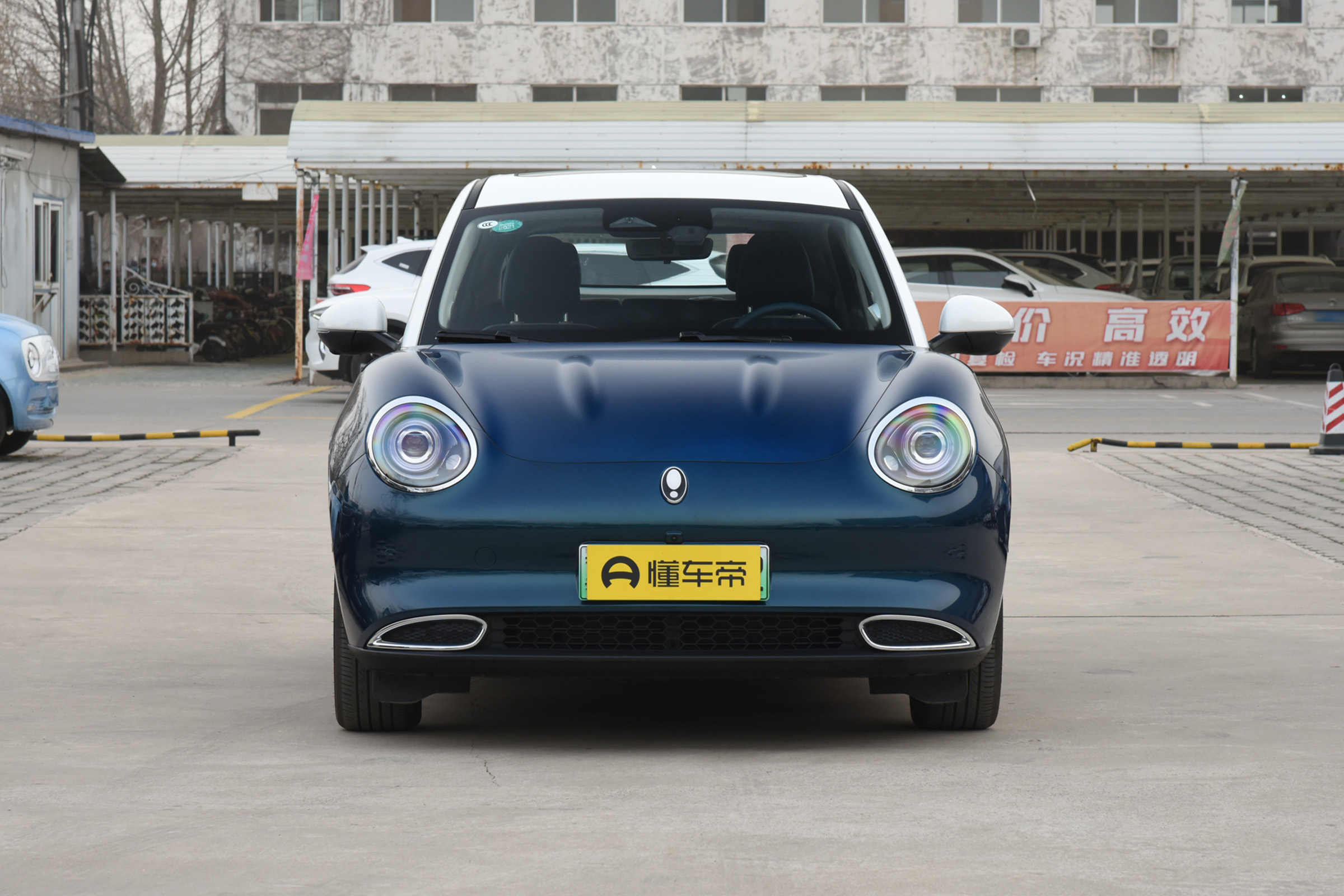 欧拉好猫萌宠版多少钱,欧拉好猫种类