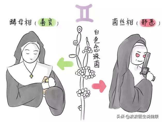 真菌细菌和病毒的区别表格,真菌细菌病毒感染的区别