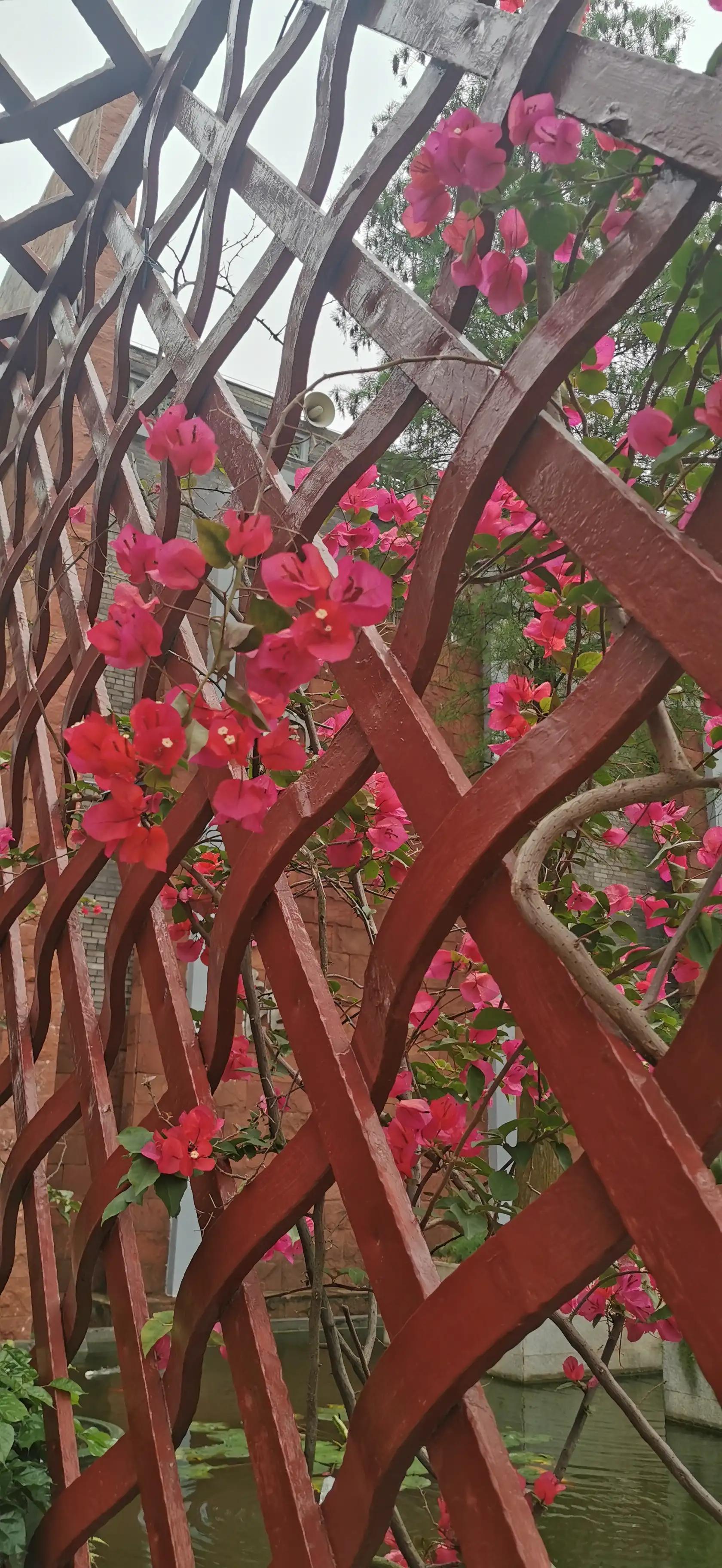 东莞出发自驾游2天游攻略,东莞出发三天自驾游最全攻略