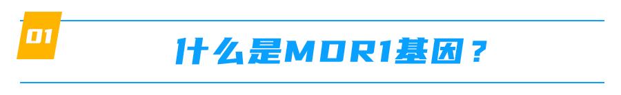 mdr1基因缺失什么意思,mdr1a怎么样