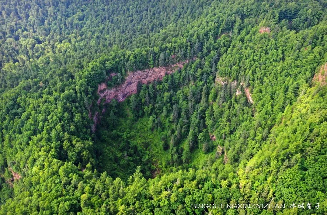 火山口国家森林公园与地下森林,清凉度夏探秘地下森林
