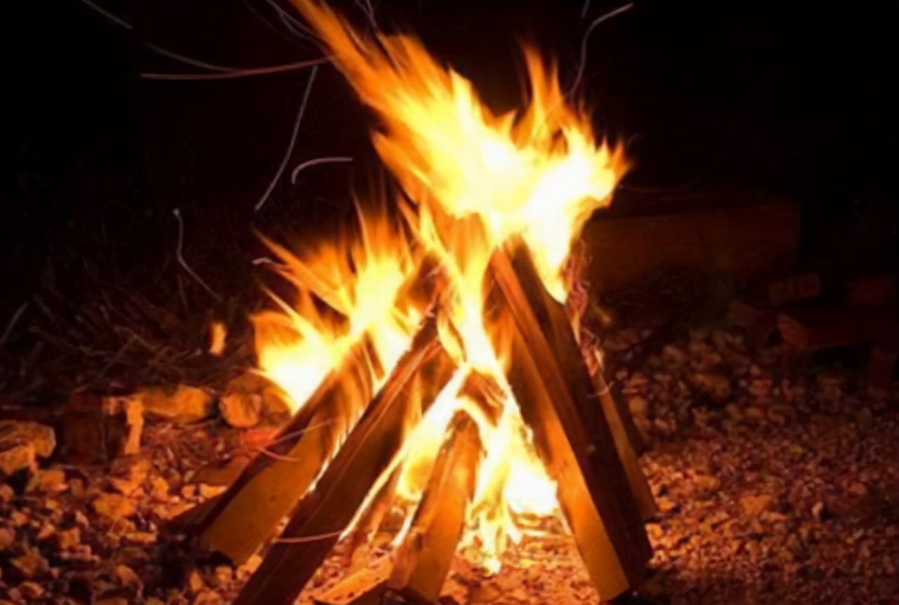 人类进化后失去体毛留下头发,人类怕冷为啥不会进化出毛发