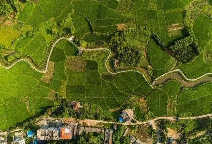 惠州周边踏青好去处推荐来啦,惠州18公里环湖绿道攻略