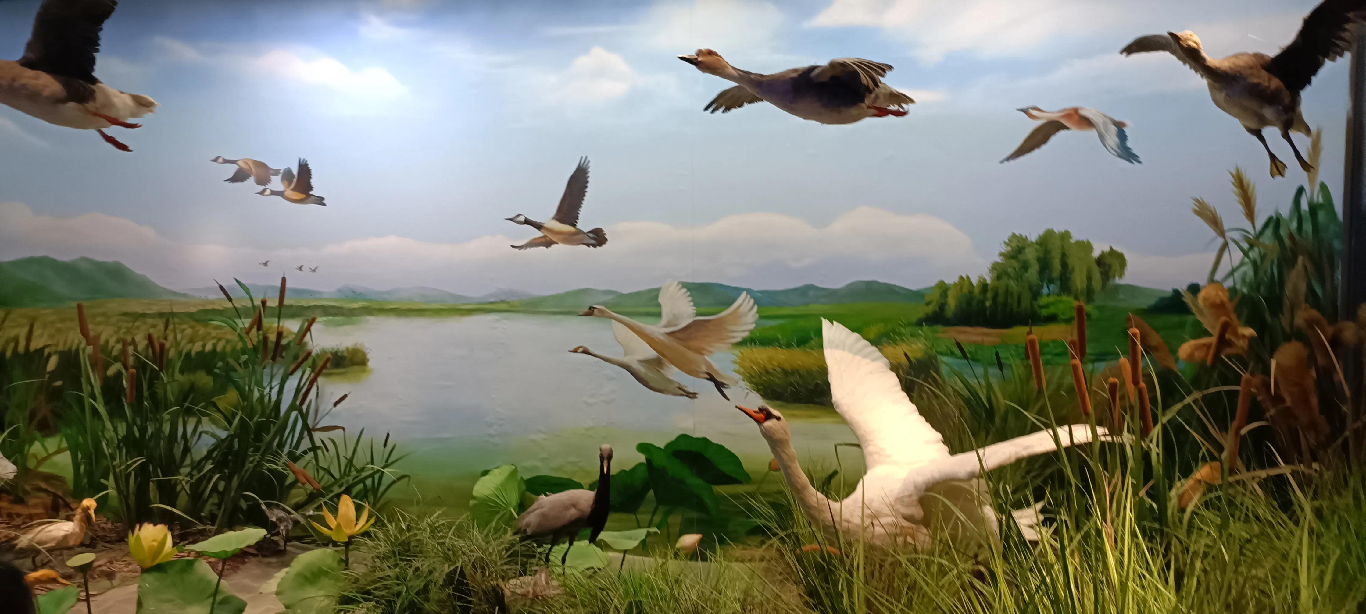 河南省科技馆新馆中标公示,河南省科技馆新馆预约门票