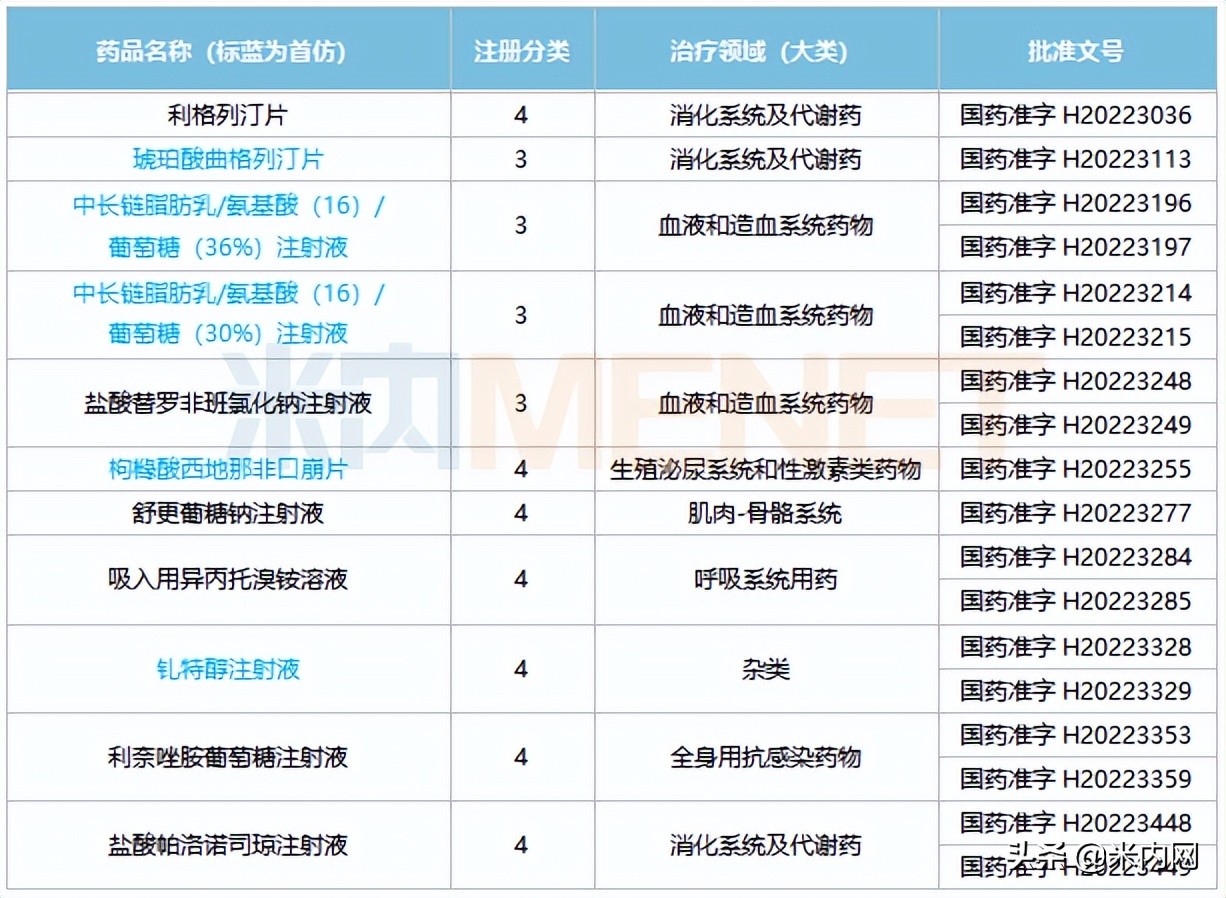 十大仿制药企,仿制药厂排名前十名