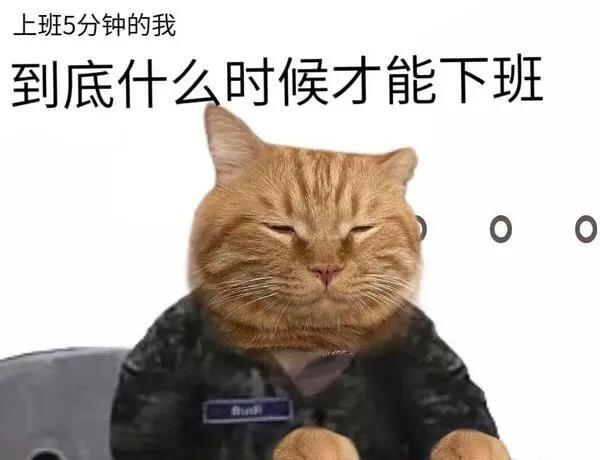 上班的我下班的我表情包,上班与下班的区别表情包