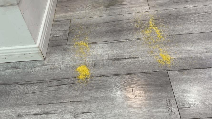 添可芙万ChorusProLite洗地机的70℃快速干燥仅需5分钟！