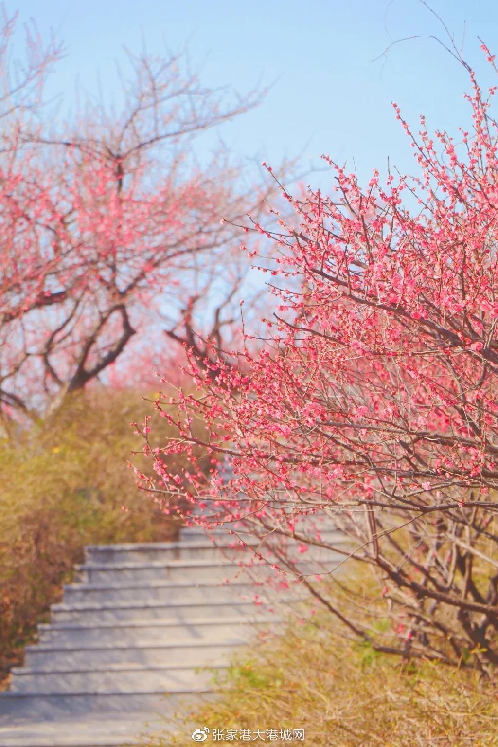 在张家港没钱可以做什么生意,张家港50万能做什么