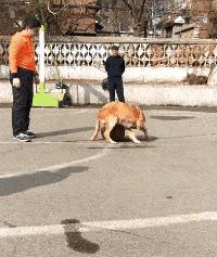 性取向测试,性取向测试怎么看结果