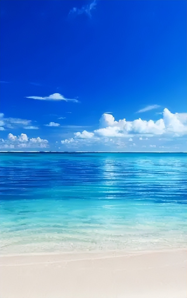 哲学的故事100篇,《哲学的故事》