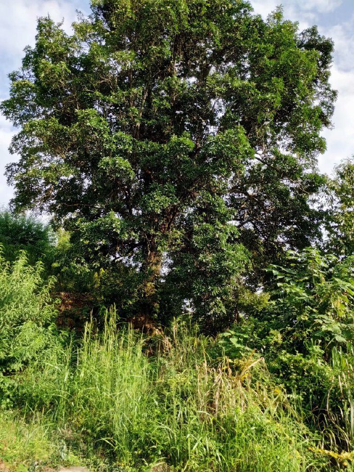 郴乐古道之水头江宜乐古道--广东省乐昌市庆云镇