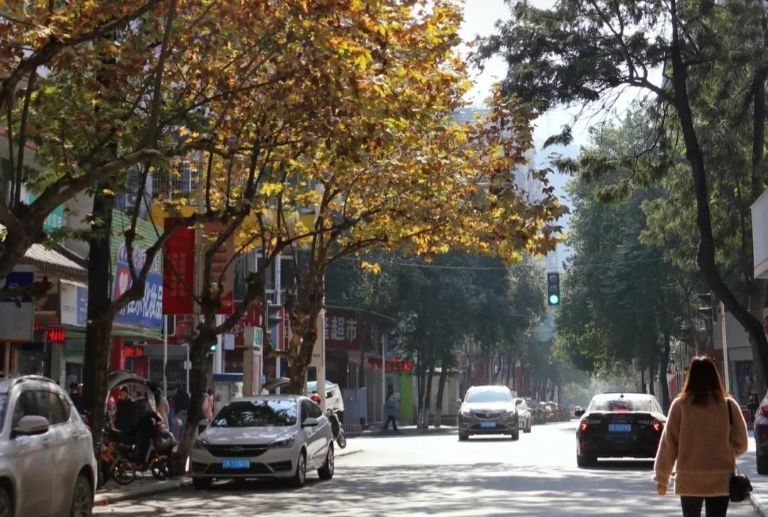 我，28岁，网恋奔现后对方变心，为表真心烫了六个烟疤，后悔