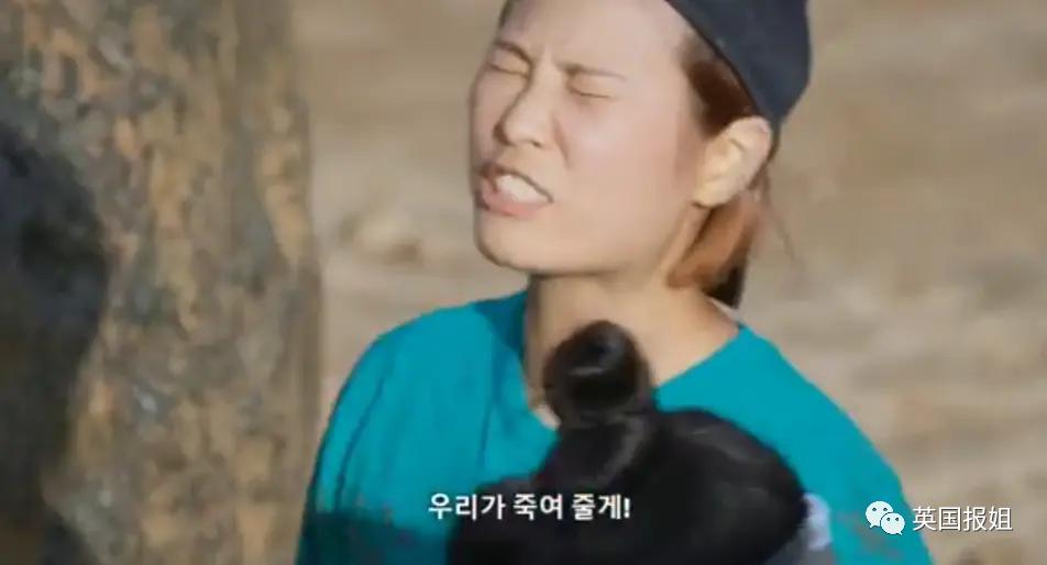 韩国版荒岛求生完整版,韩国荒岛求生节目