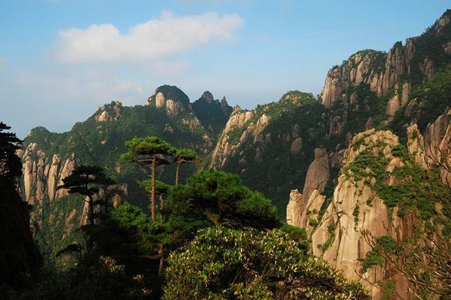 黄山婺源八日游多少钱,江西婺源旅游团