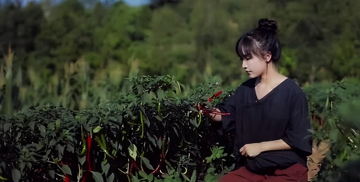 李子柒停更一年，外网视频*放播**还能产生广告收益，高达78万元每月